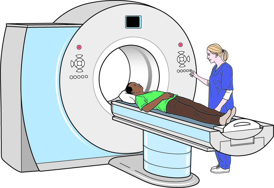 Pituitary Tumours Understanding Cancer Macmillan Cancer Support 